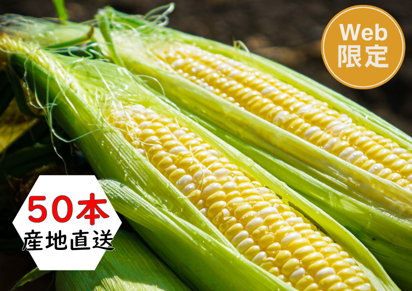 【直送】【送料込】北海道産　とうもろこし（50本）